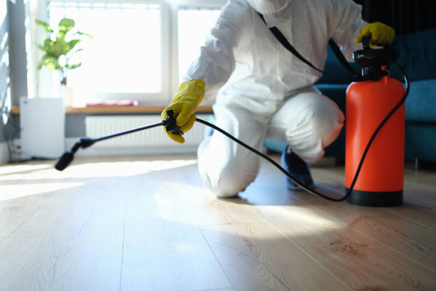 Reliable Hoarding Cleanup contractor in San Antonio, FL by Dulley Family Biohazard Services